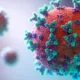 Représentation en 3D de virus rouges à pointes vertes
